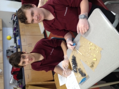 SCC students dissect owl pellets
